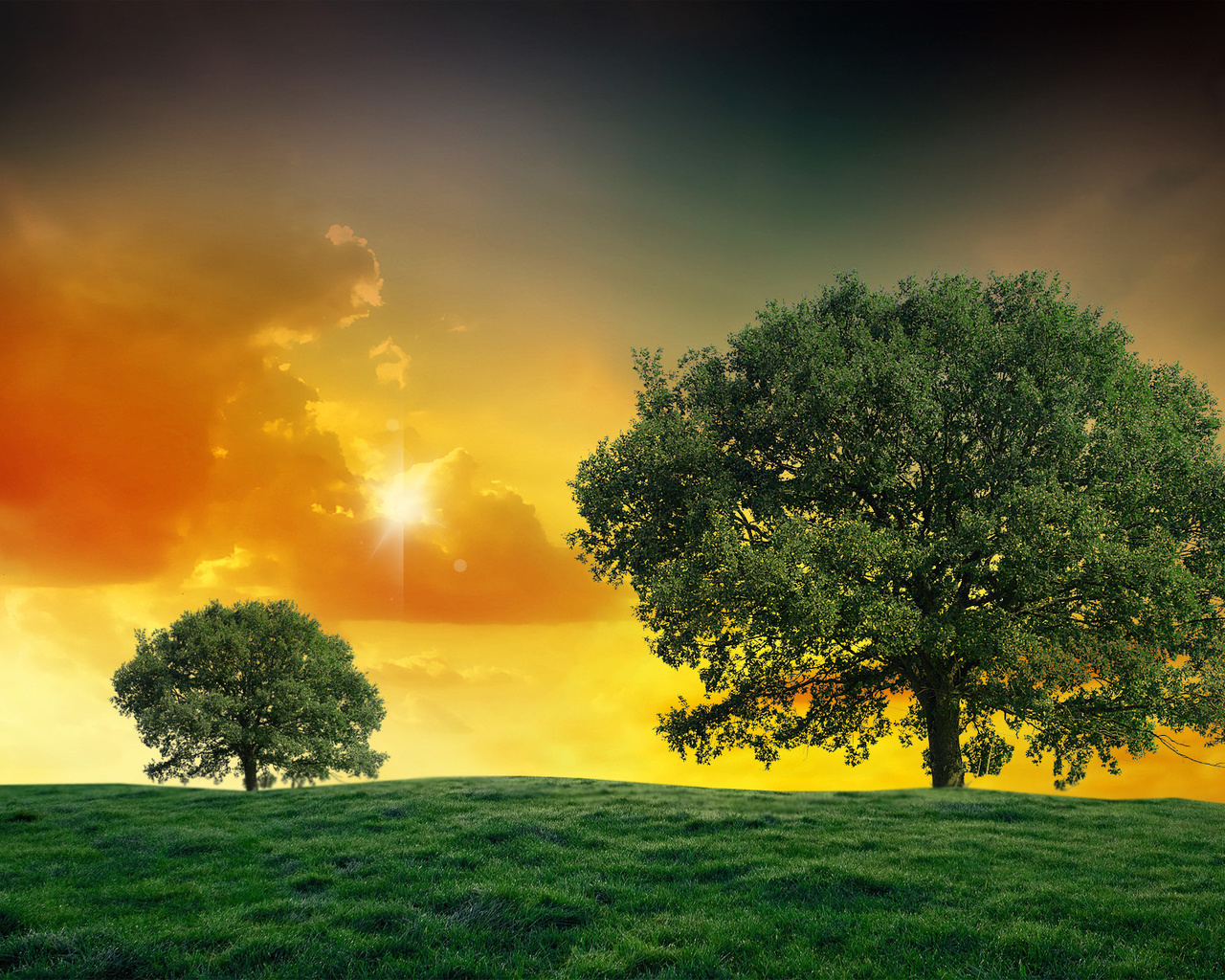 landscapes, tree, fields, green