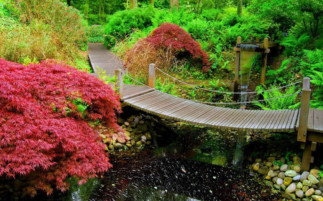 garde, bridge, river, leaves, tree, 