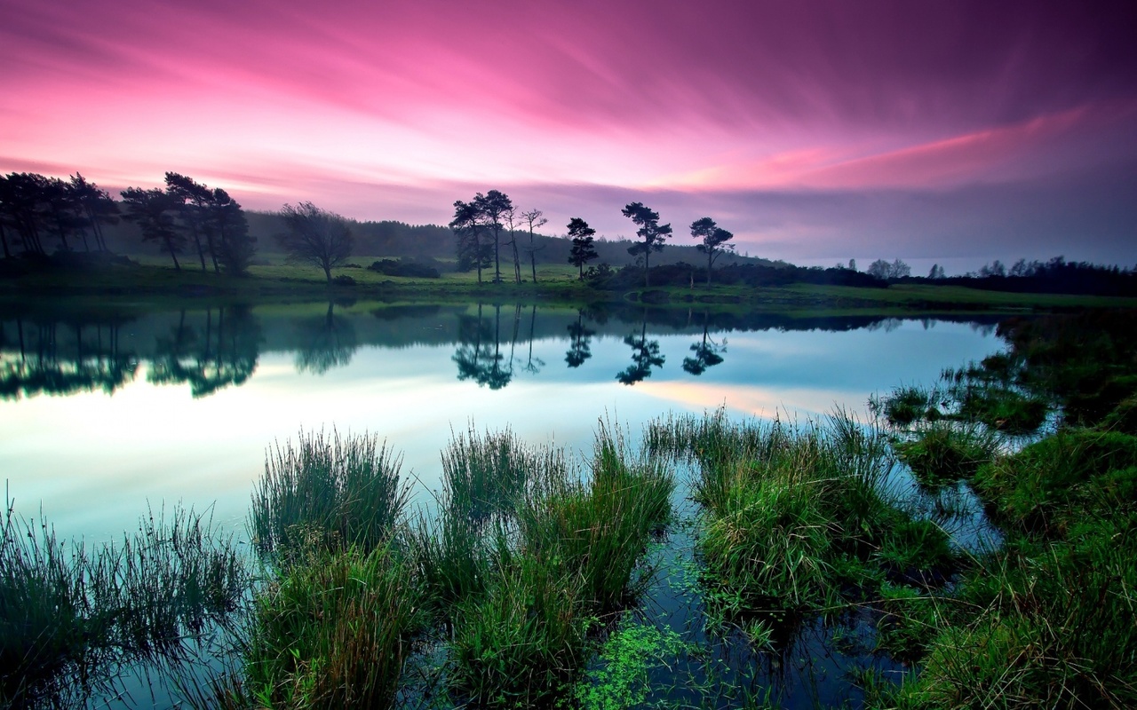 purple, sky, clouds, lake, tree