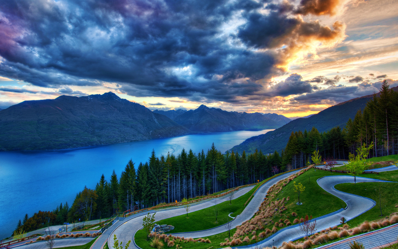 dunedin, new zealand, lake, tree, clouds