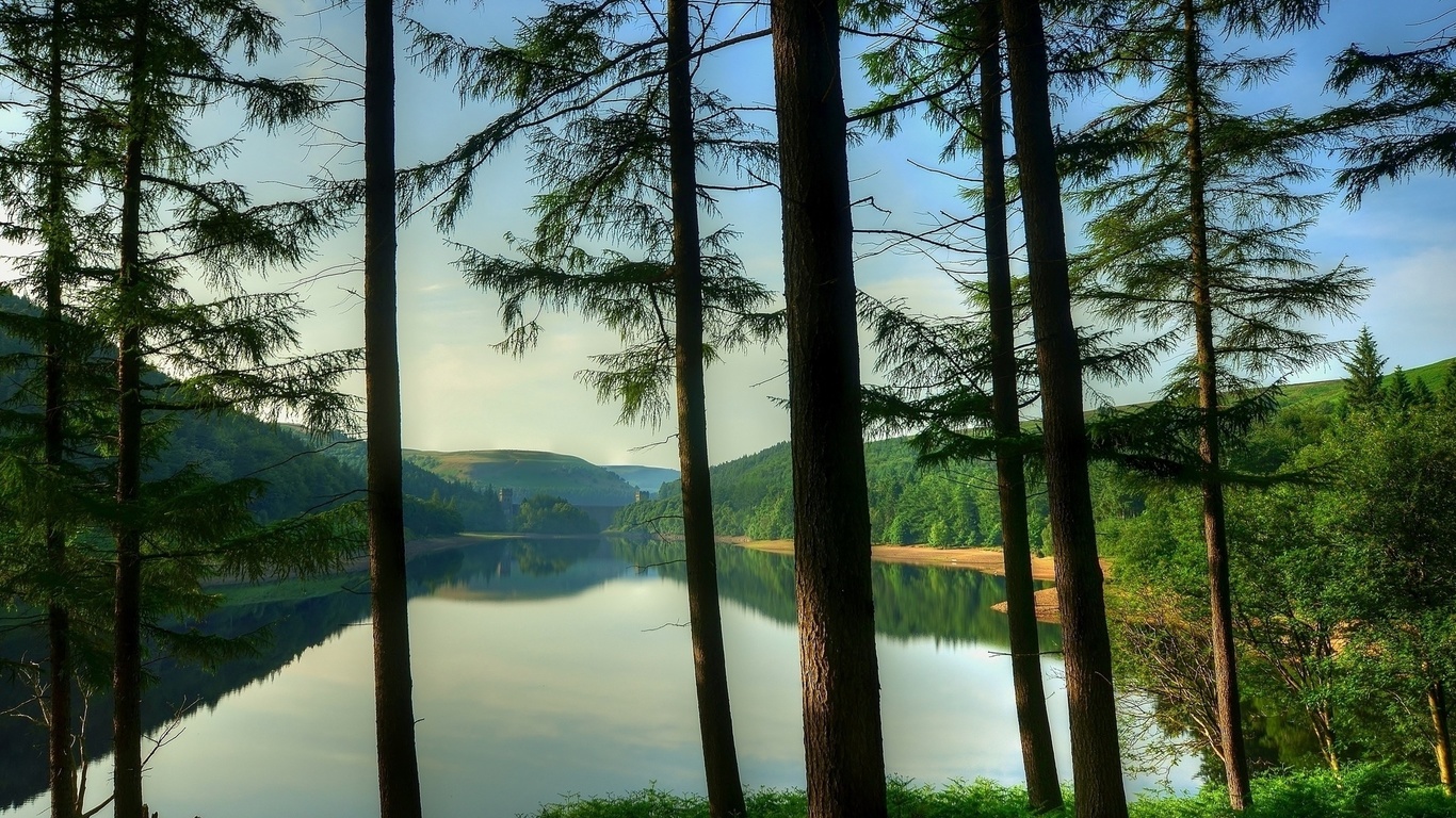 lake, mountain, tree, forest, water, sky, blue