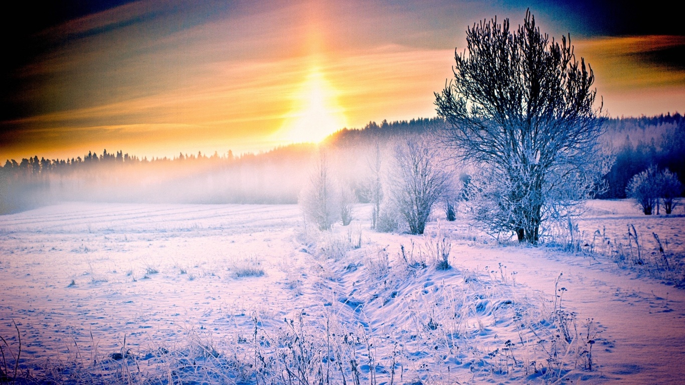 winter, snow, ice, tree, fields