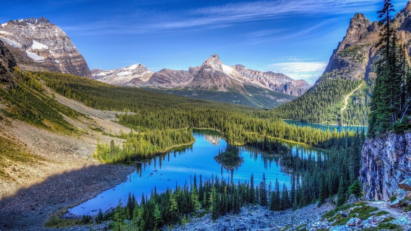 water, mountain, pine, tree