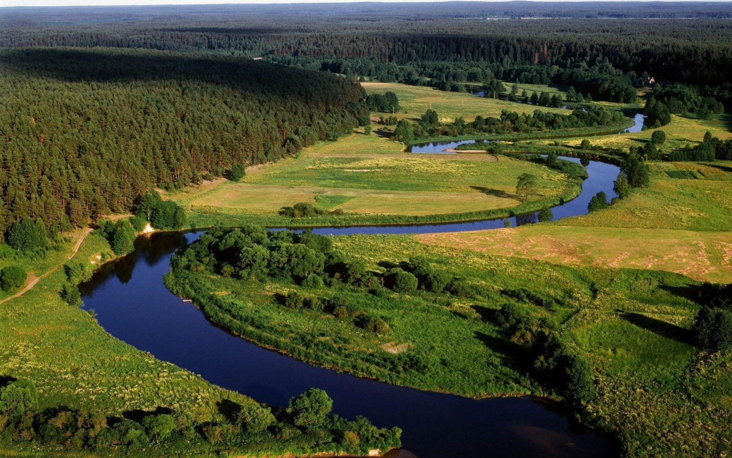 river, delta, green, tree