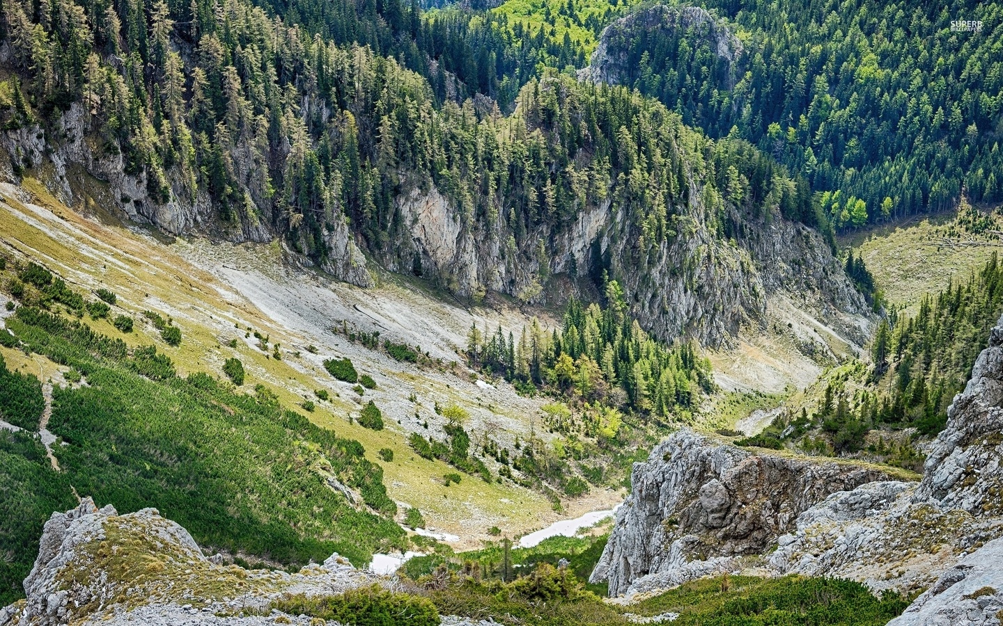 valley, mountain, tree, rock, green