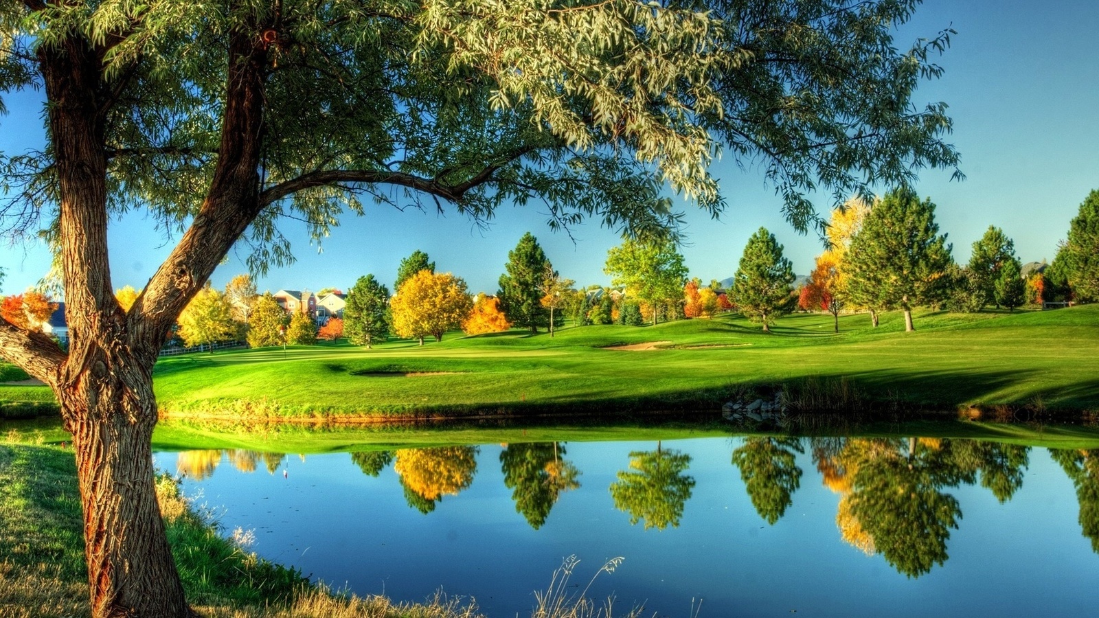 golf, lake, tree, water, fields, 