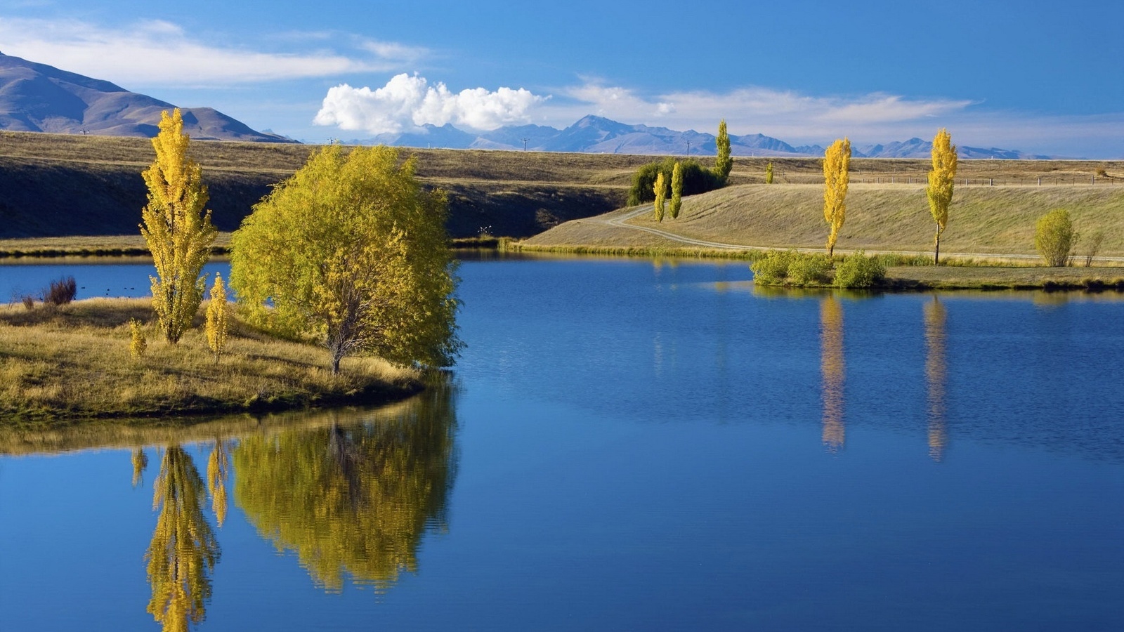 field, water, pine, tree, lake, green, grass