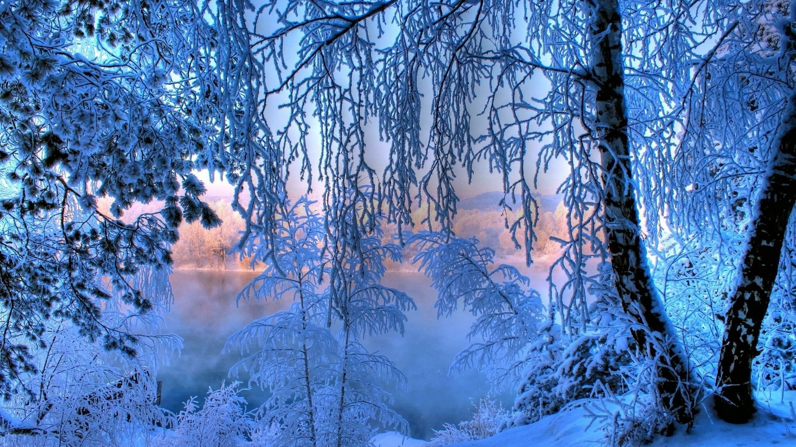 winter, snow, ice, water, river, tree