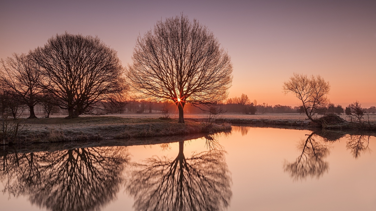 trees, frosty, lake, water, reflextion