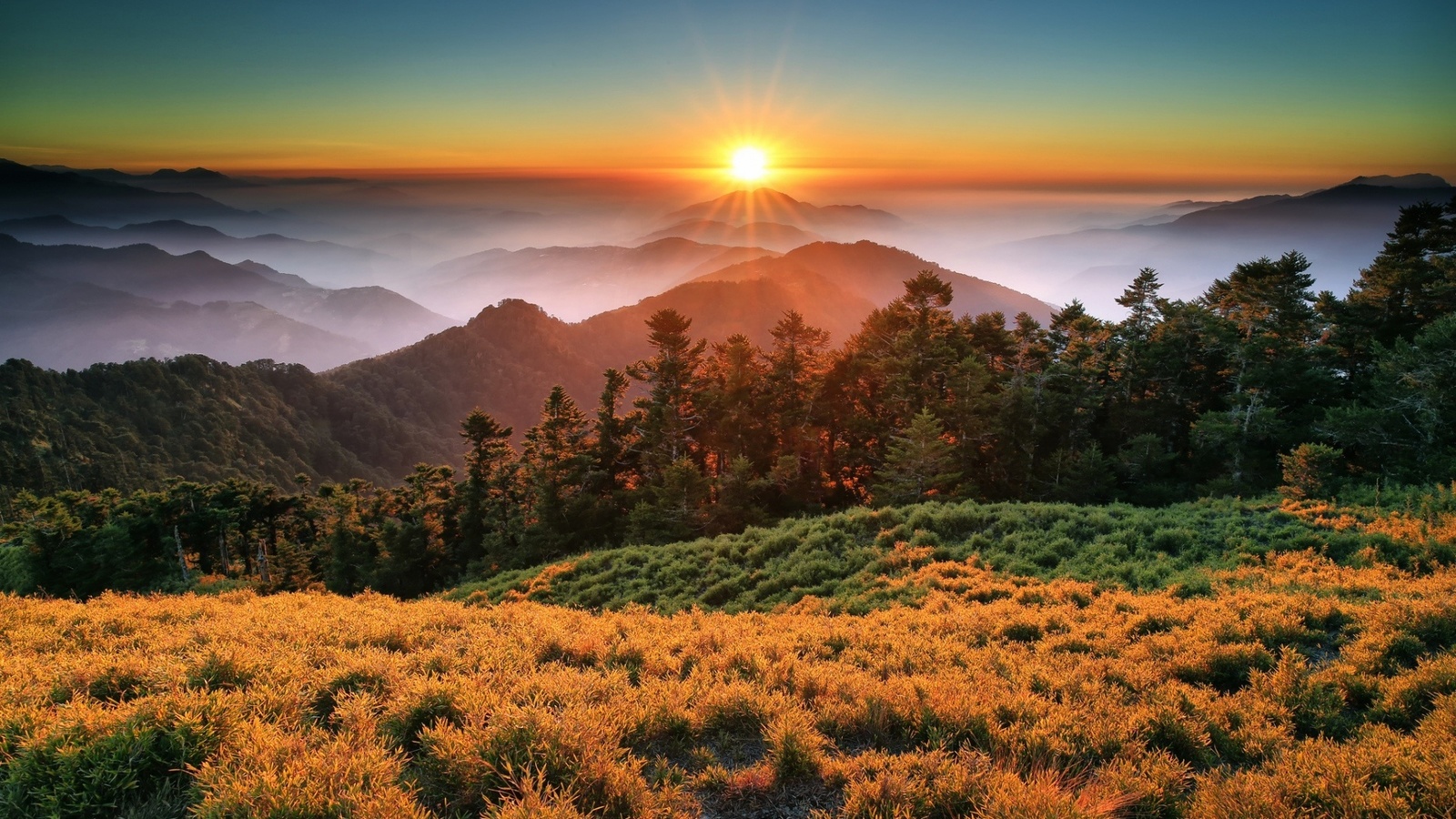 sunrise, taroko, taiwan, tree, forest