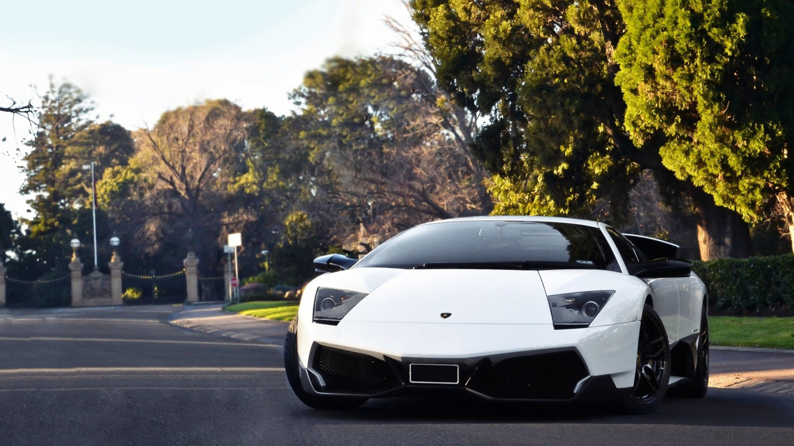 lamborghini, road, fields, wheel