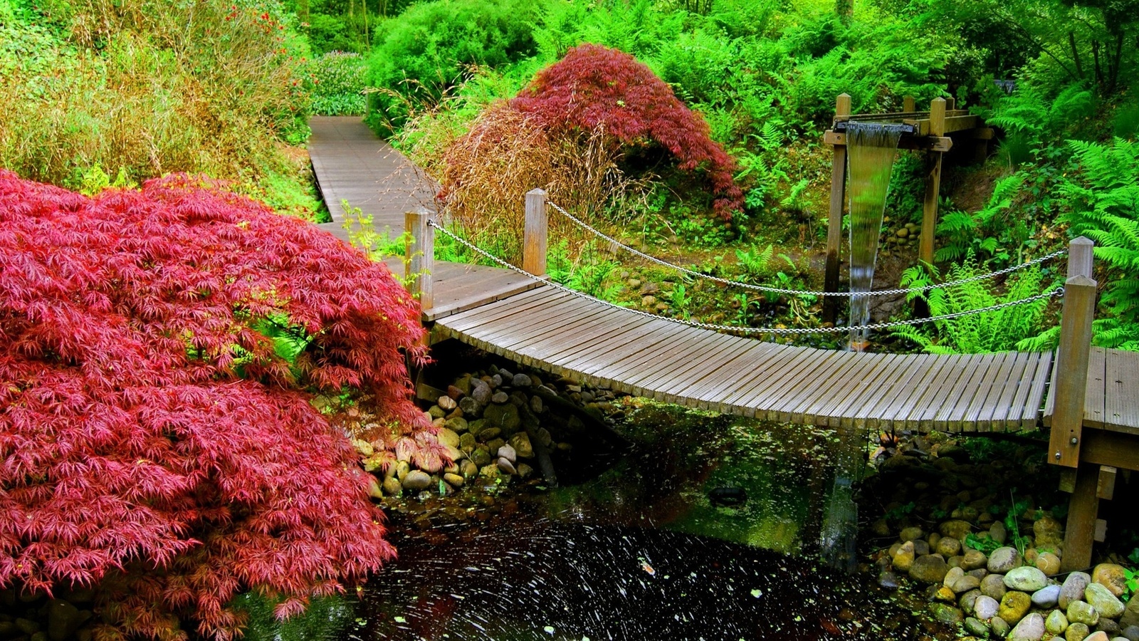 garde, bridge, river, leaves, tree, 