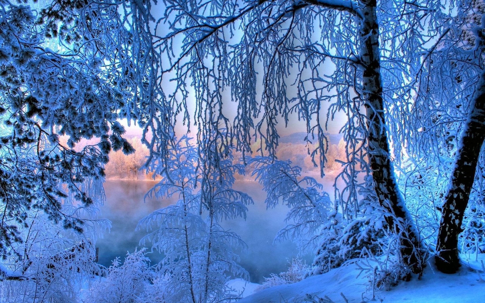 winter, snow, ice, water, river, tree