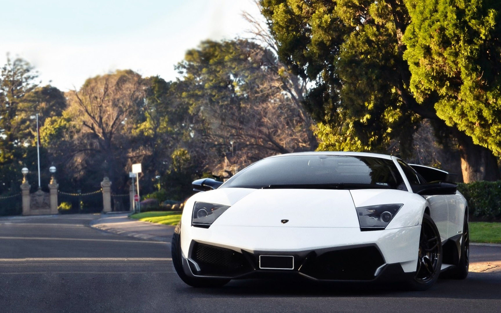 lamborghini, road, fields, wheel