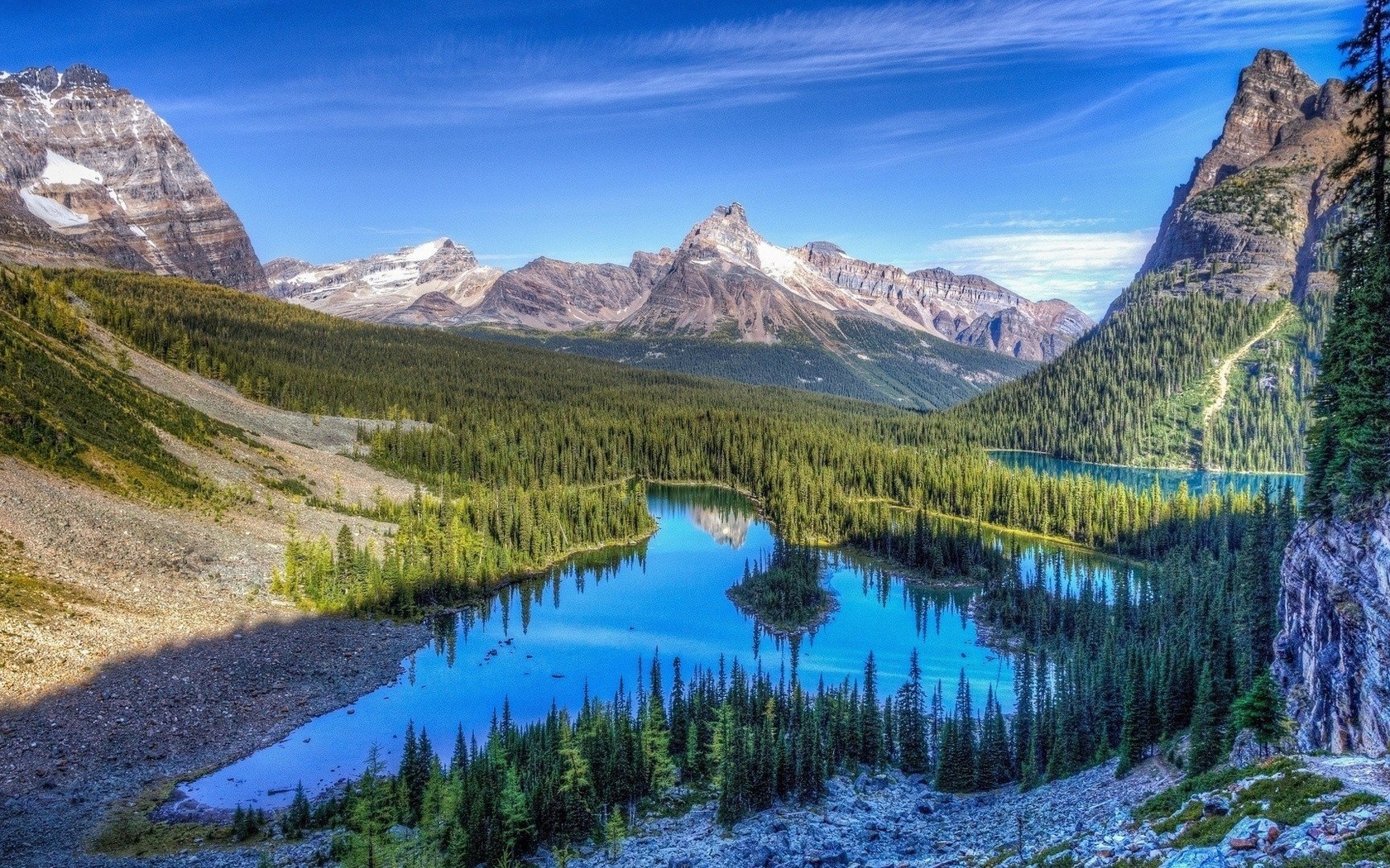 water, mountain, pine, tree