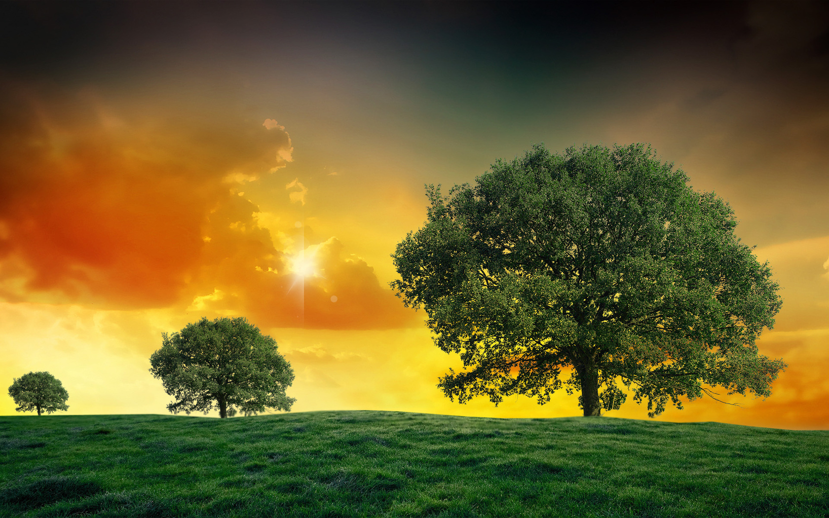 landscapes, tree, fields, green