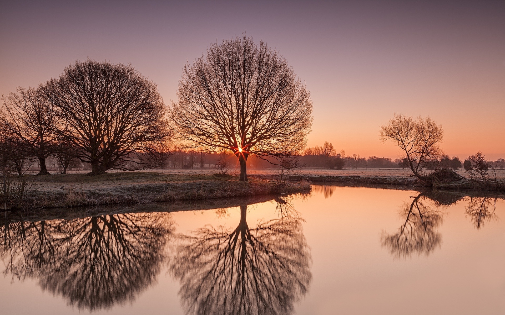 trees, frosty, lake, water, reflextion