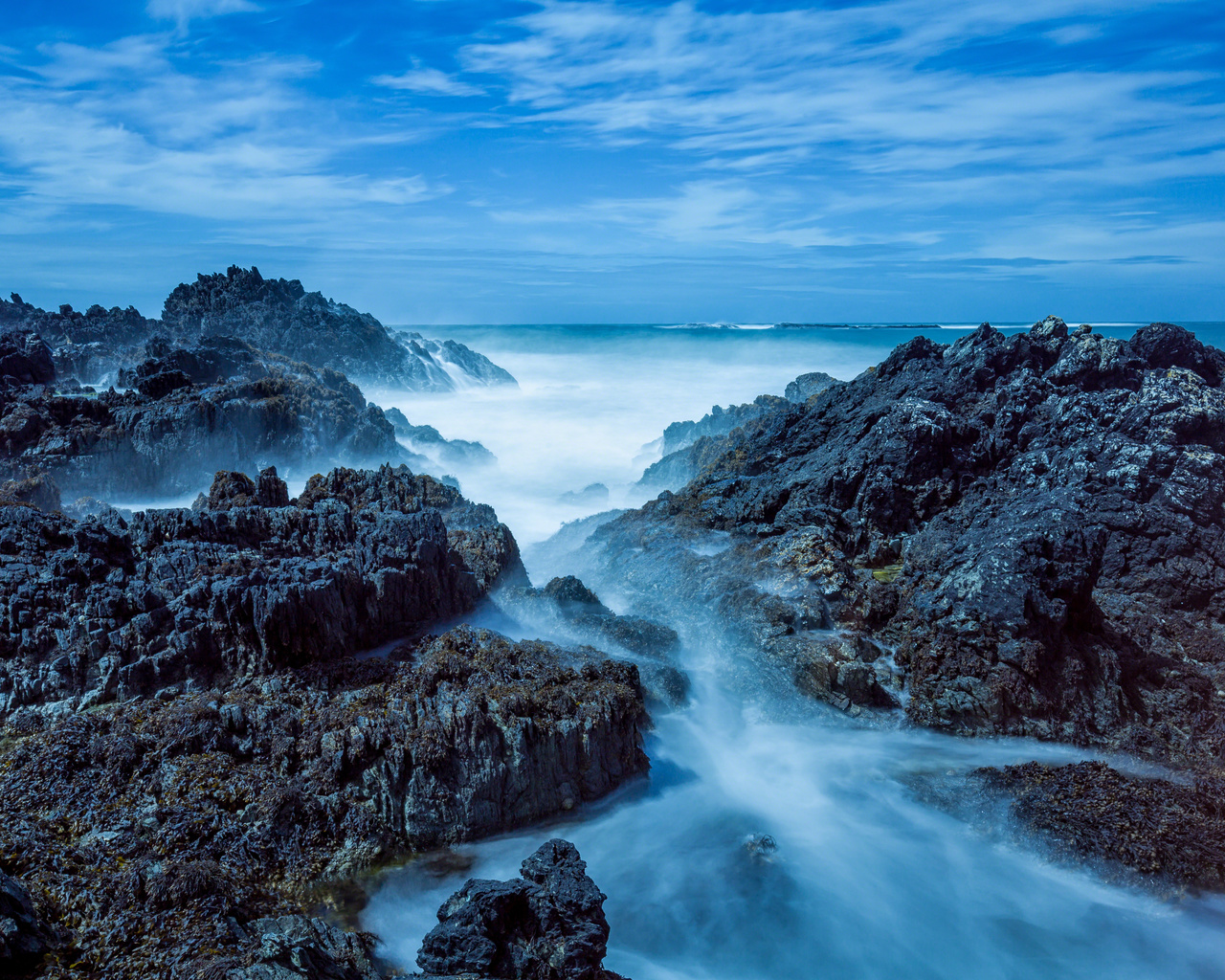 bardsey island, wales, , 