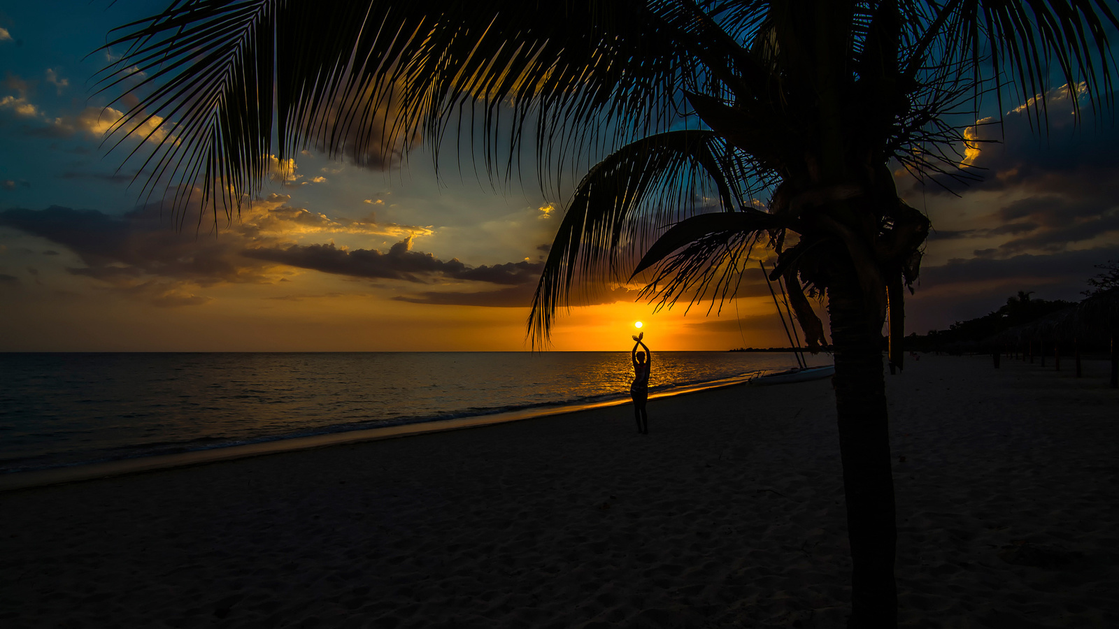 life is beautiful, , trinidad, , , 