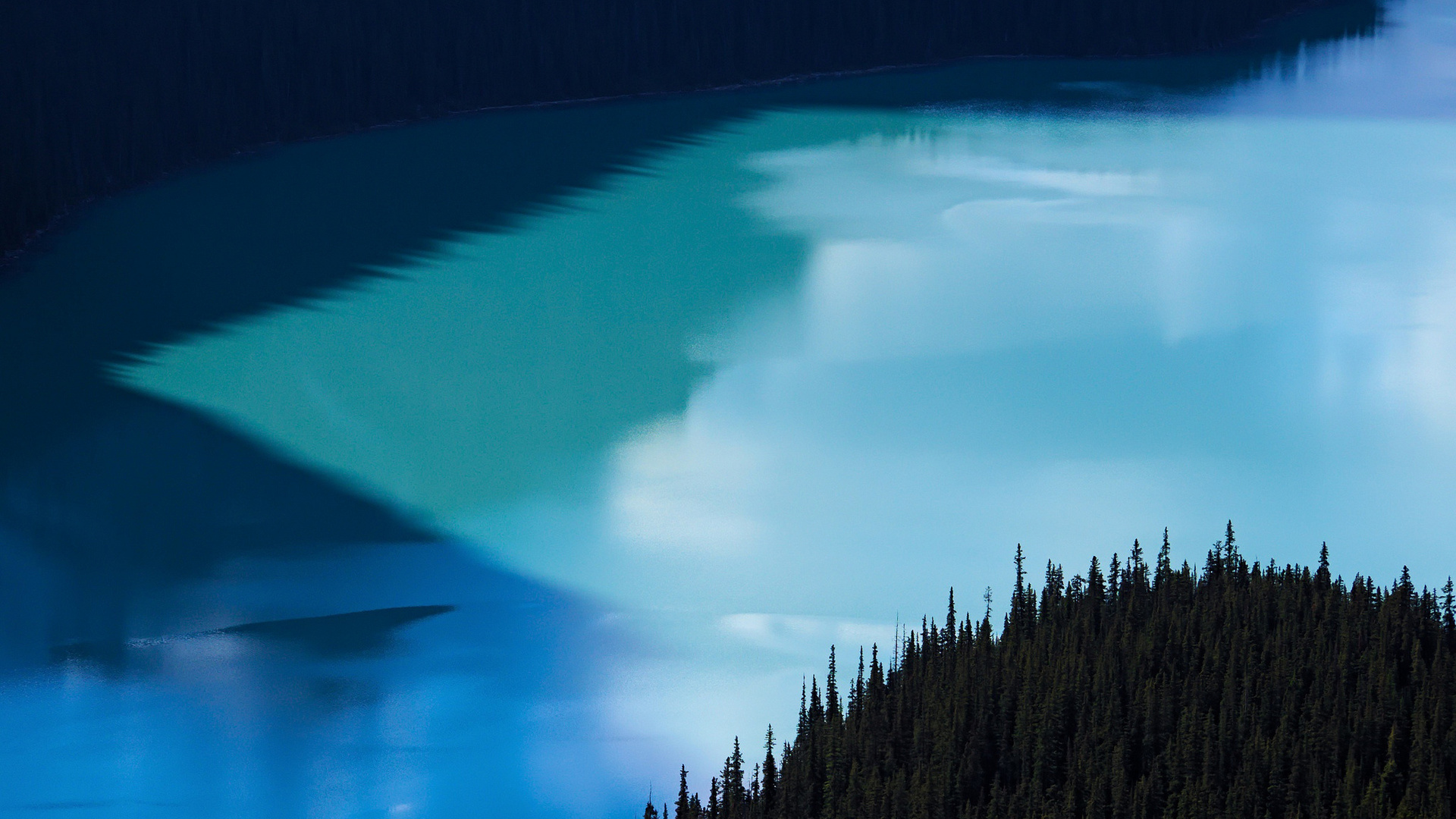 peyto lake, alberta, canada, , , 