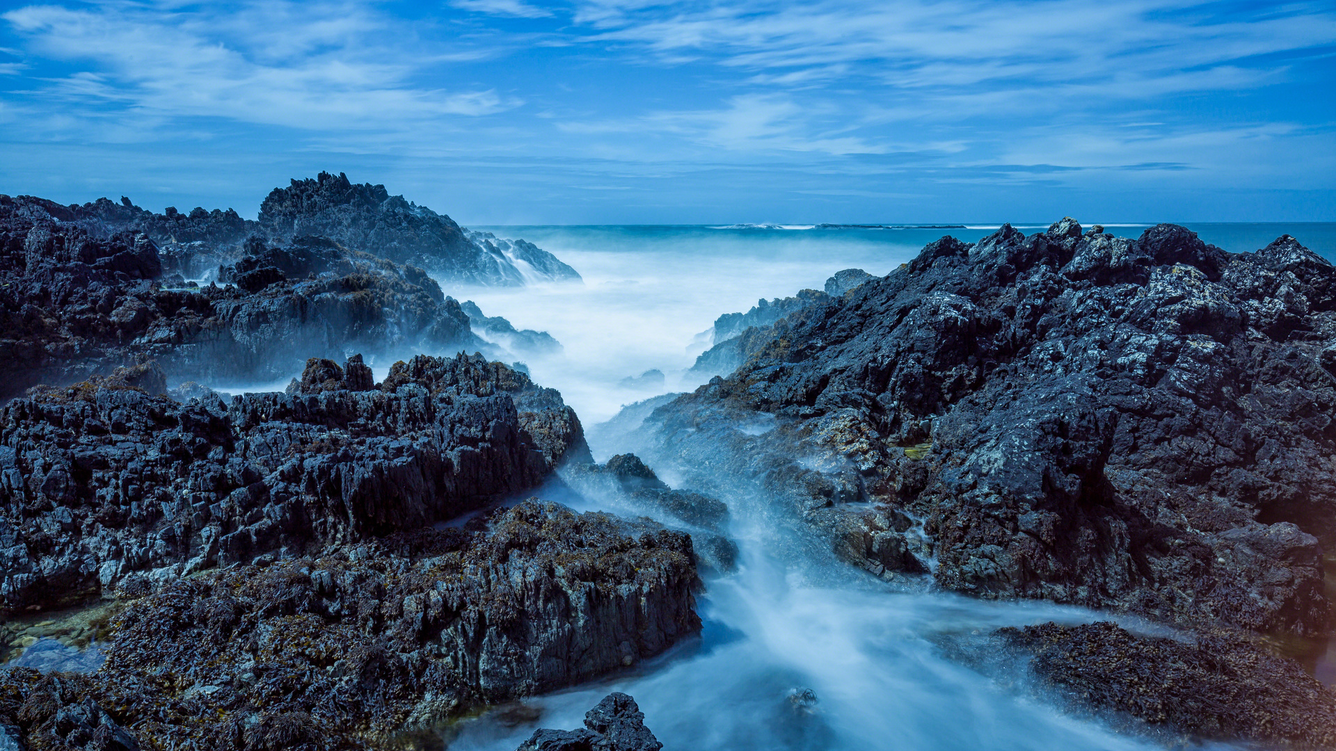 bardsey island, wales, , 