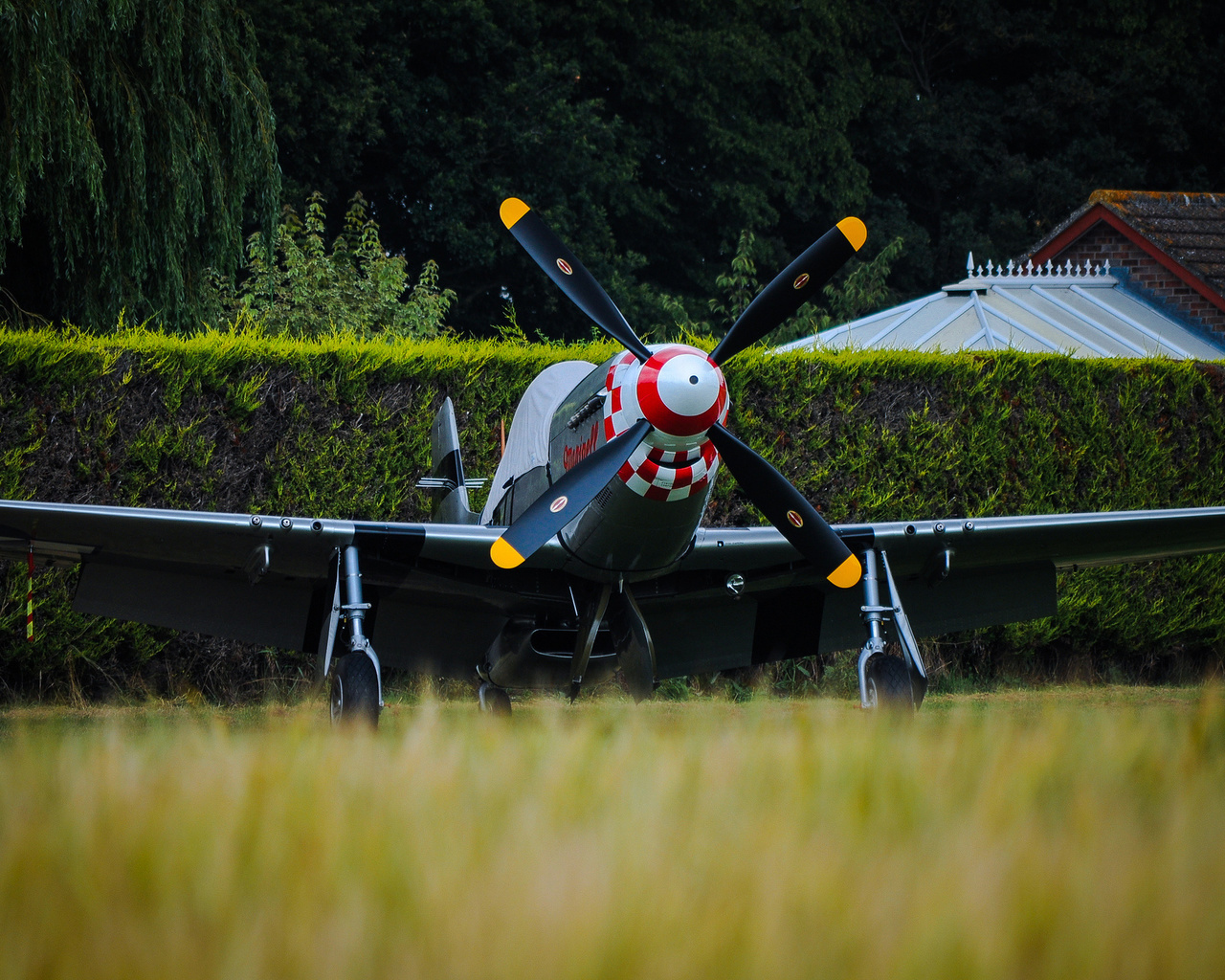 p-51d, mustang, , , 