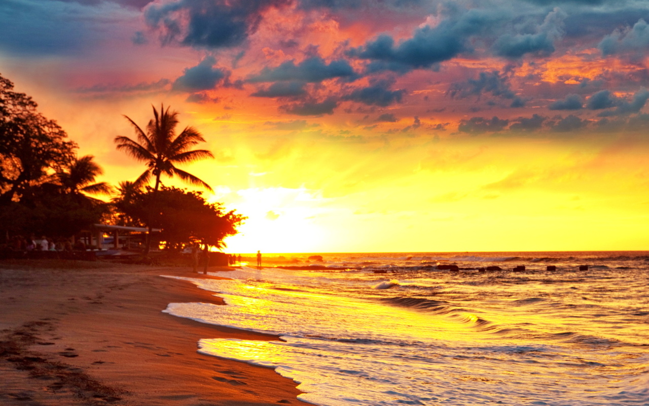 sea, paradise, beach, tropical, palms, sunset