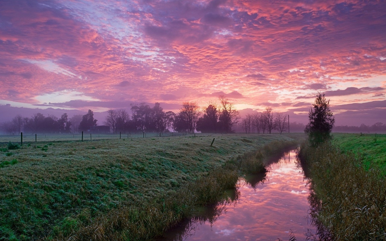 canal, water, fields, tree, sky