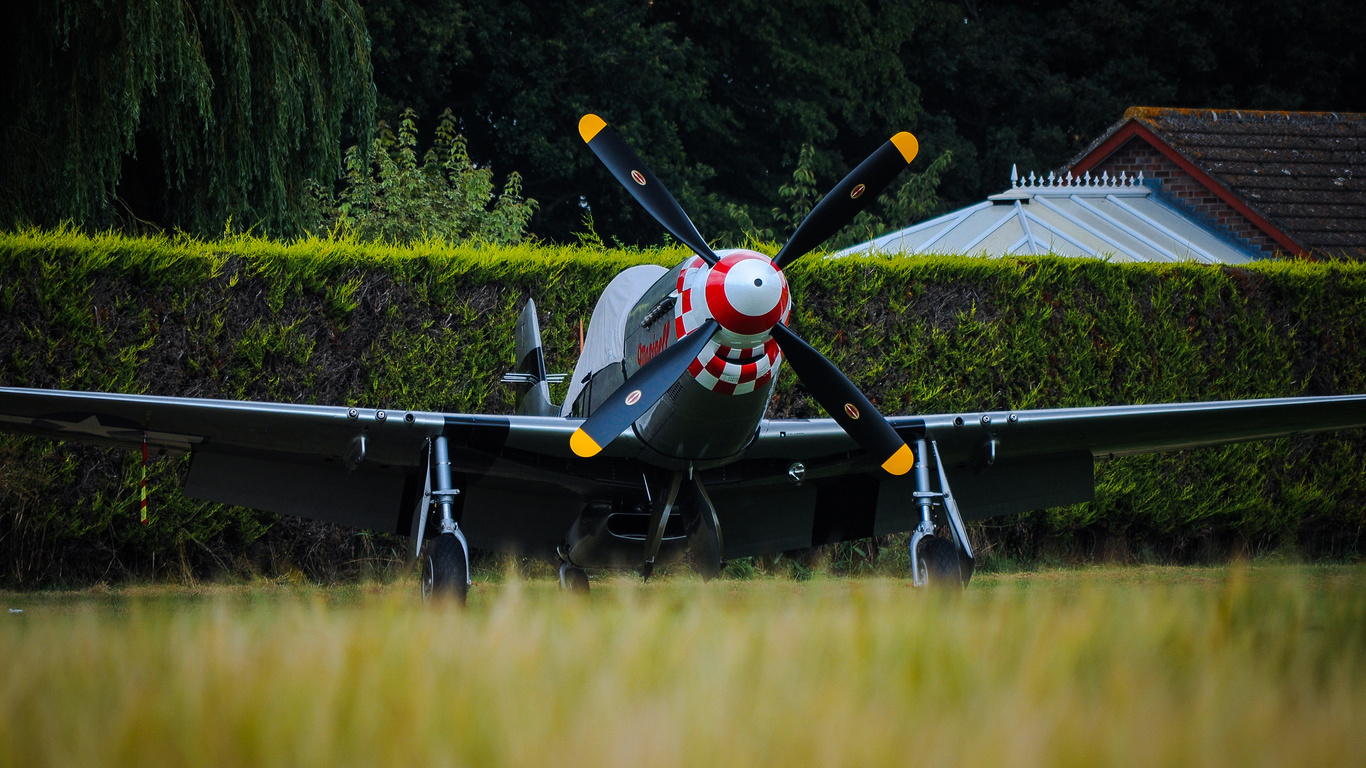 p-51d, mustang, , , 