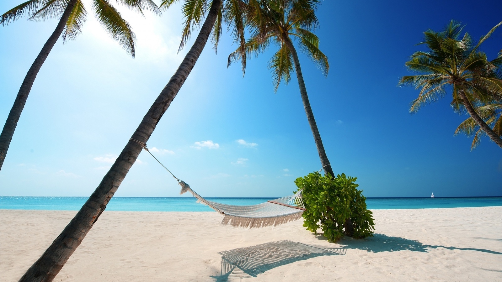 maldives, hammock, palm, ocean, water