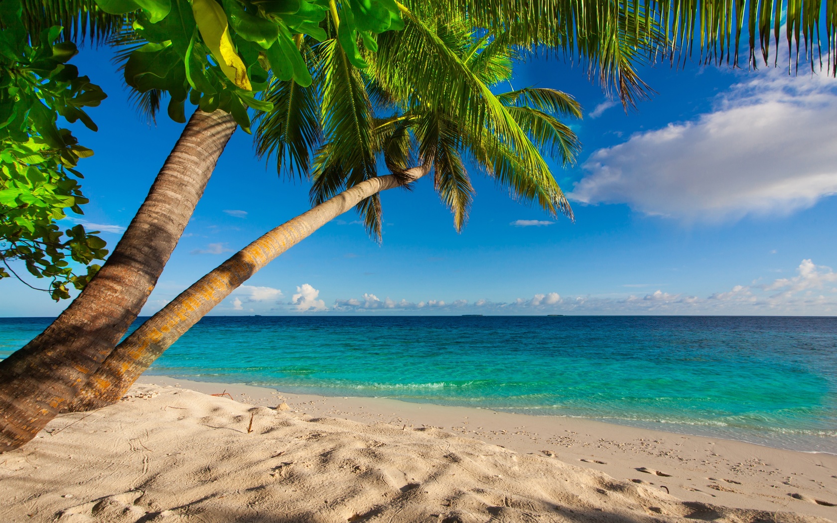 summer, beach, sea, shore, paradise, tropical, sand, palms, , , , , 