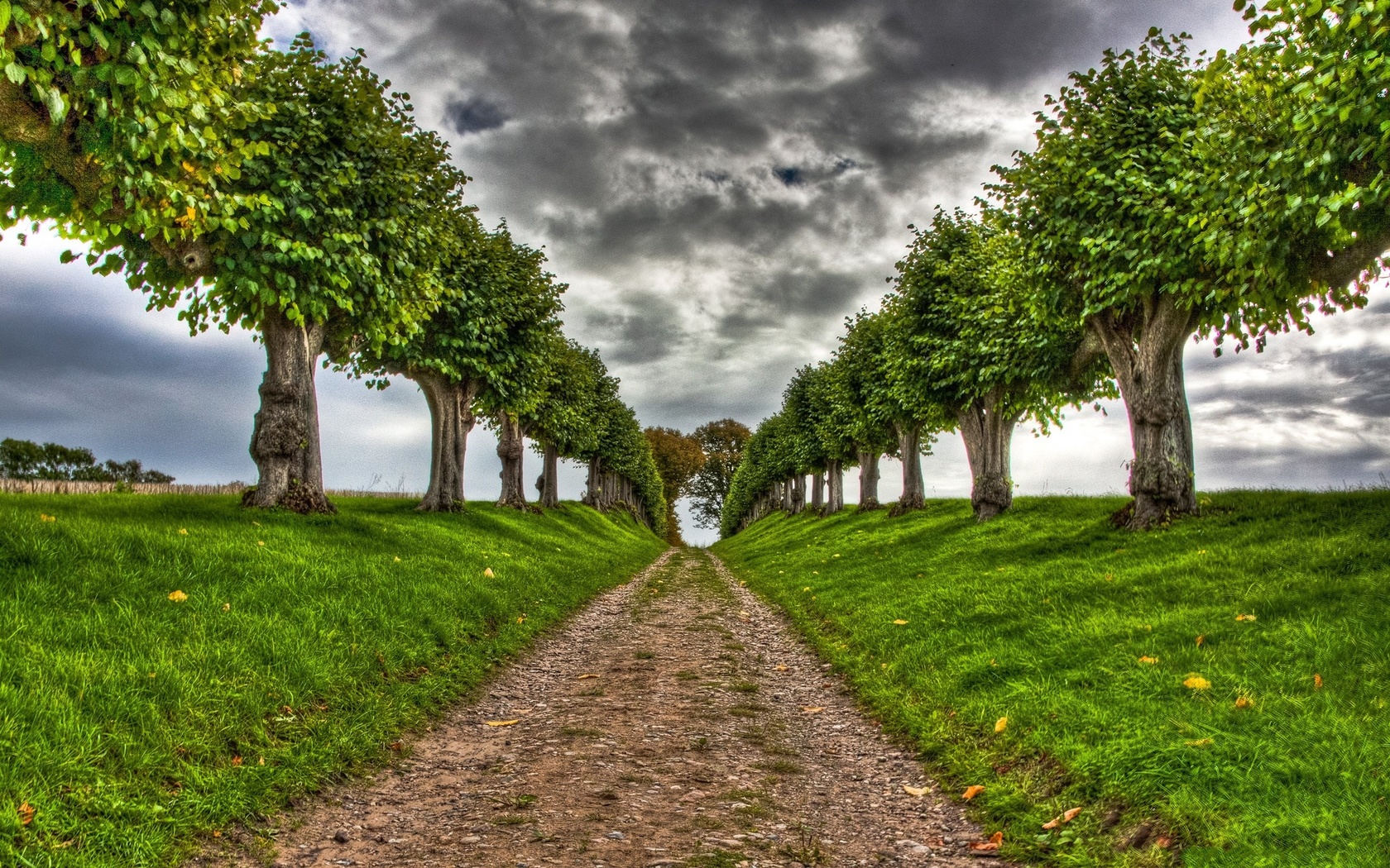 road, tree, path, green