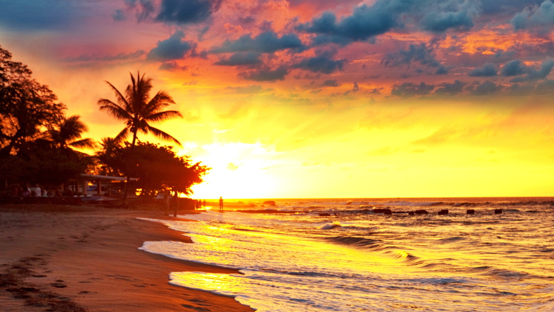 sea, paradise, beach, tropical, palms, sunset