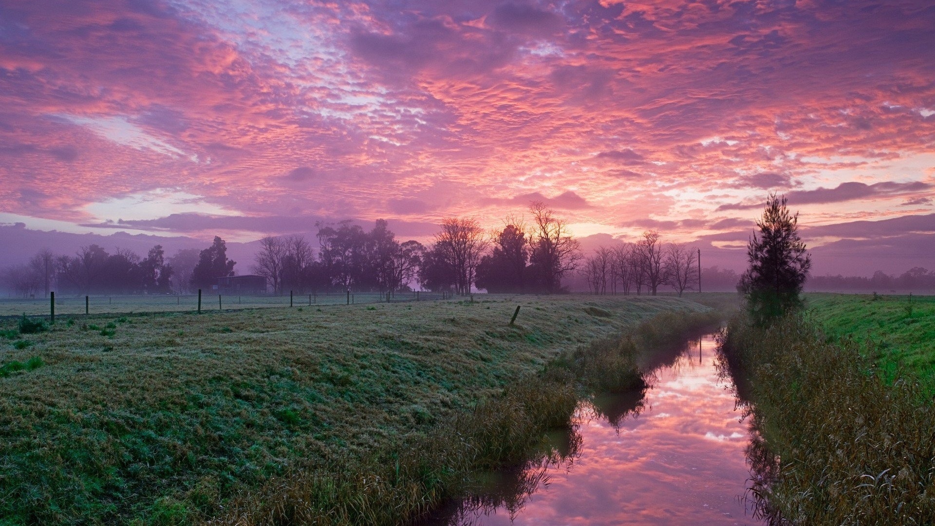 canal, water, fields, tree, sky