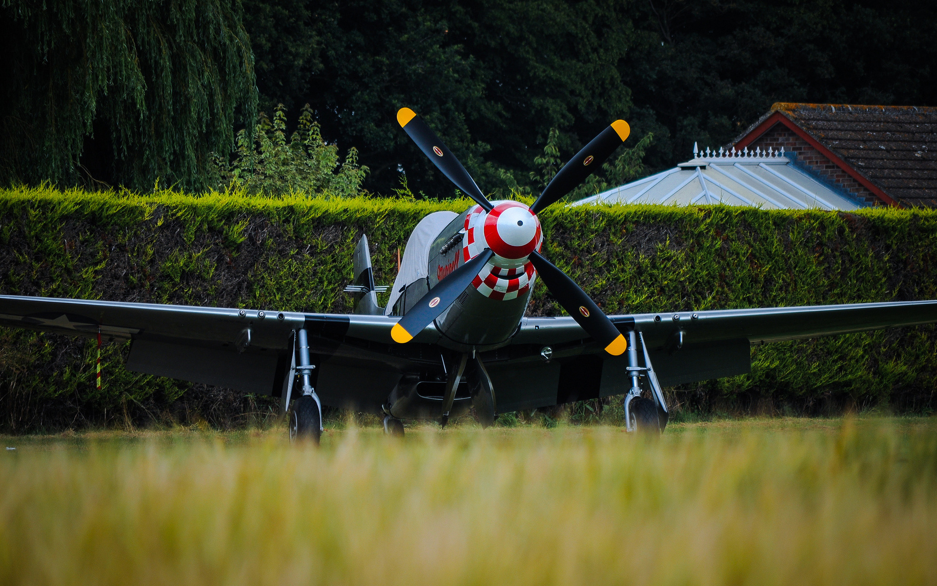 p-51d, mustang, , , 