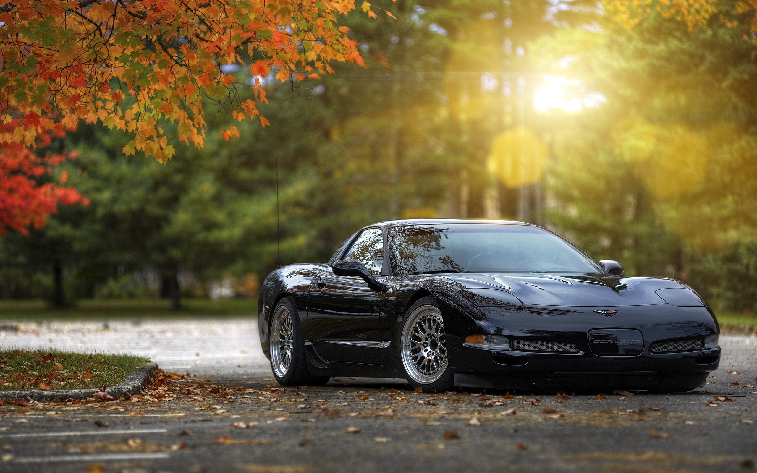 chevrolet corvette,  , muscle car