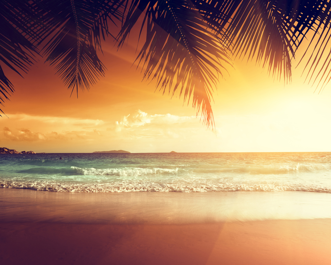 shore, sand, sea, palms, beach, tropics