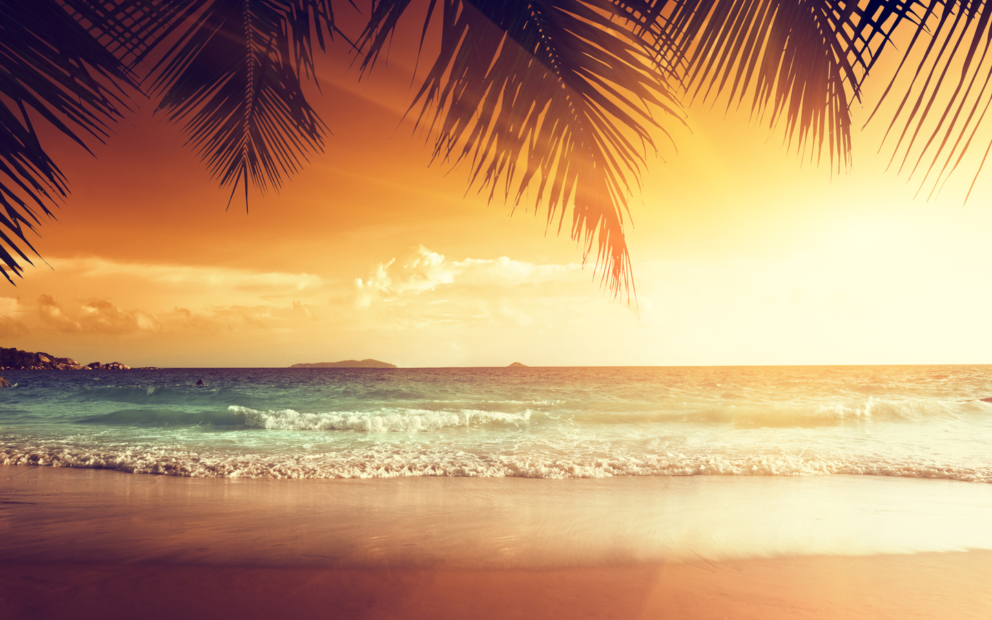 shore, sand, sea, palms, beach, tropics