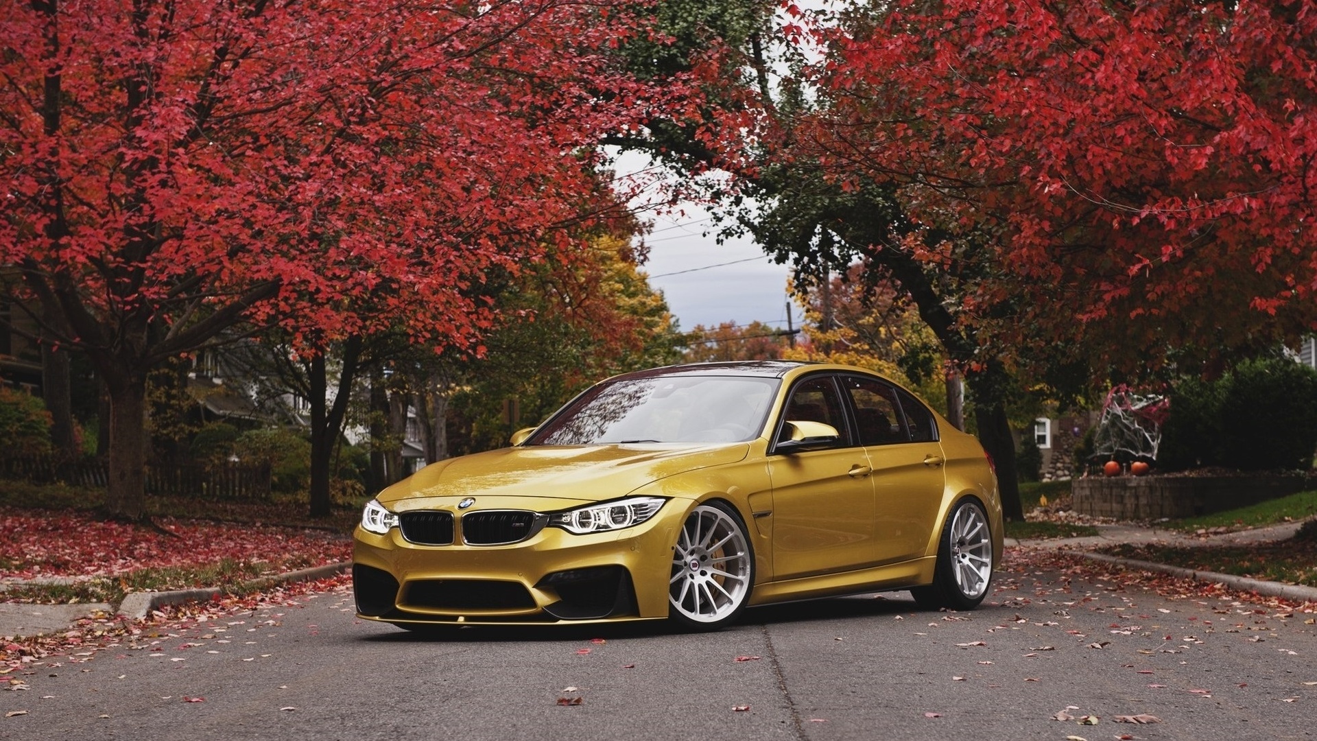 bmw, , , , , , , 