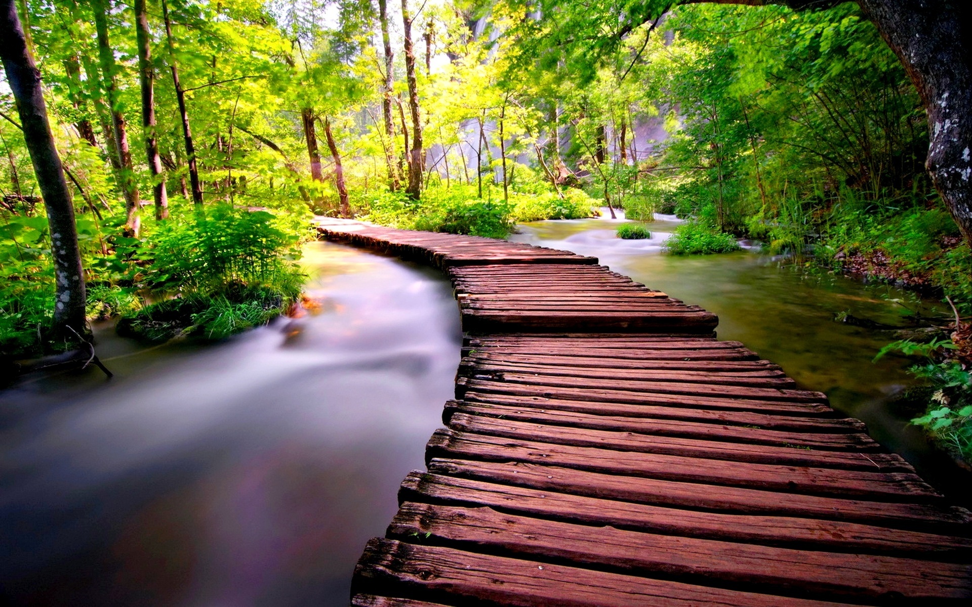 wooden, bridge, tree, forest, river