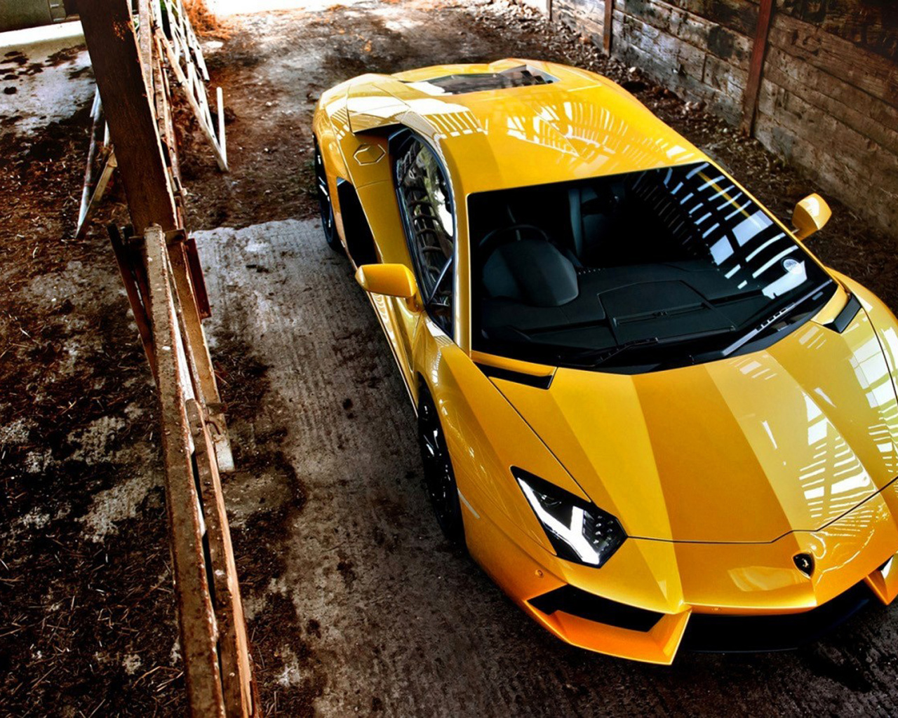 lamborghini, , , , super car, cars