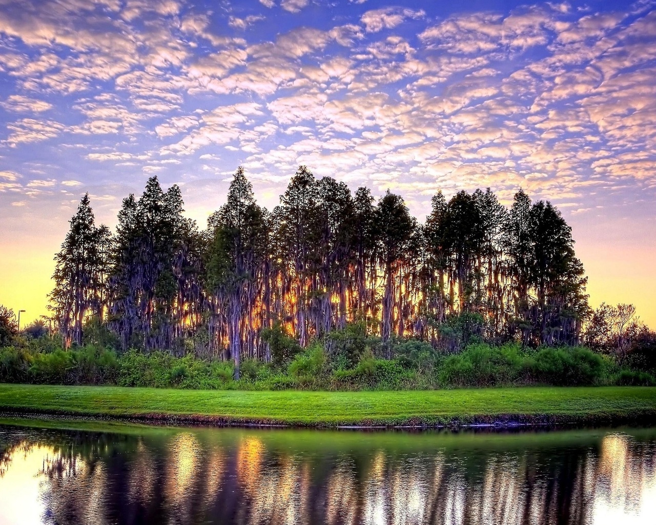 river, trees, water, sky, clouds