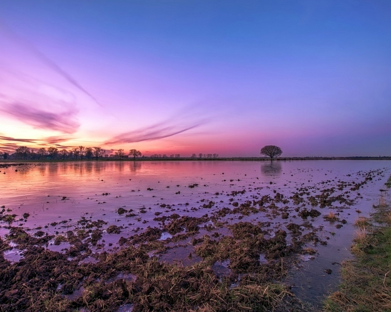 lake, muddy, purple, water