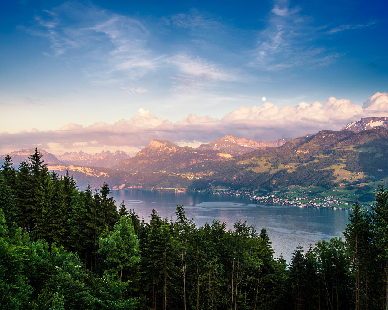 mountains, switzerland, lake zurich, nature, lake, forest