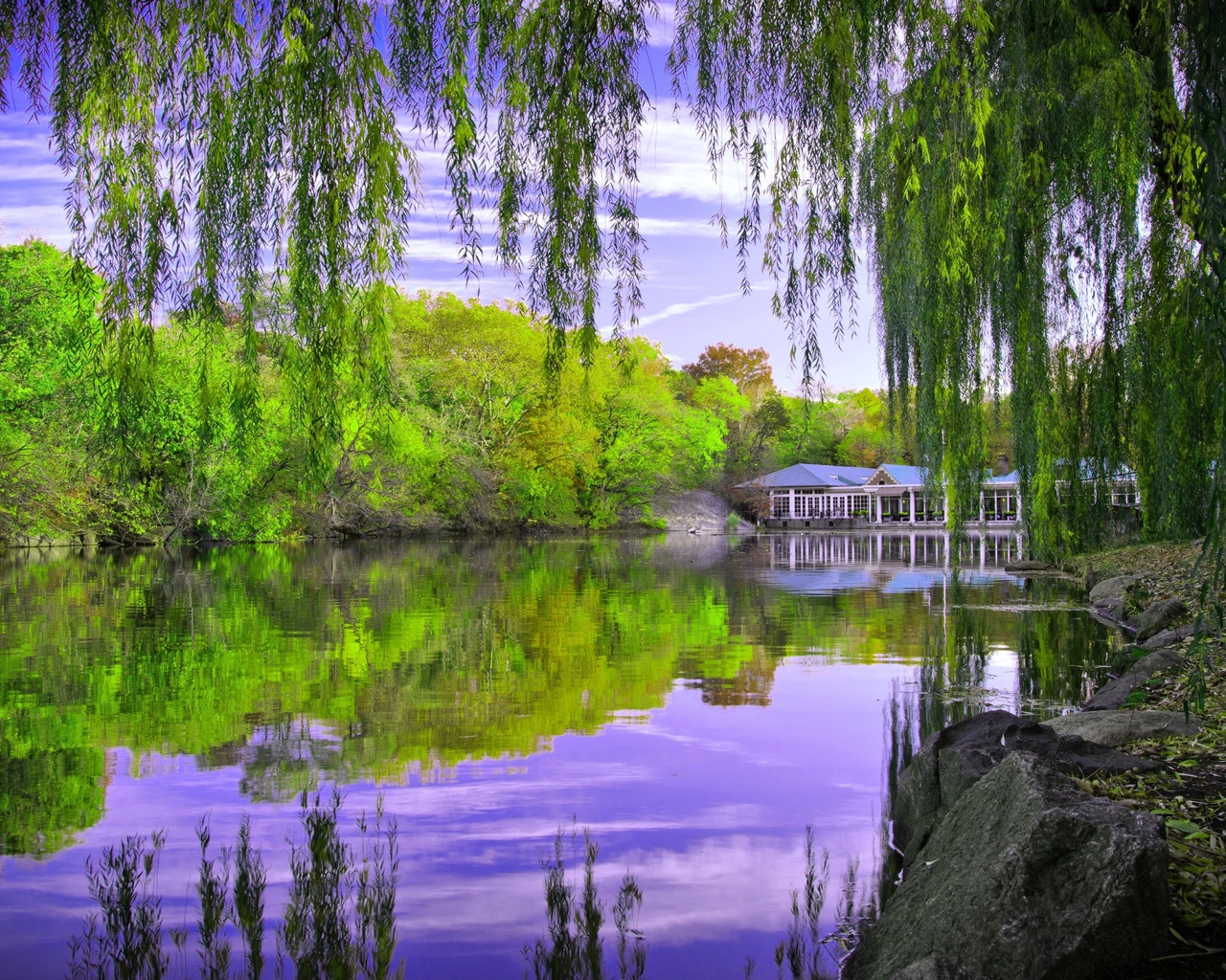 central park in new york, autumn, pond, trees, 