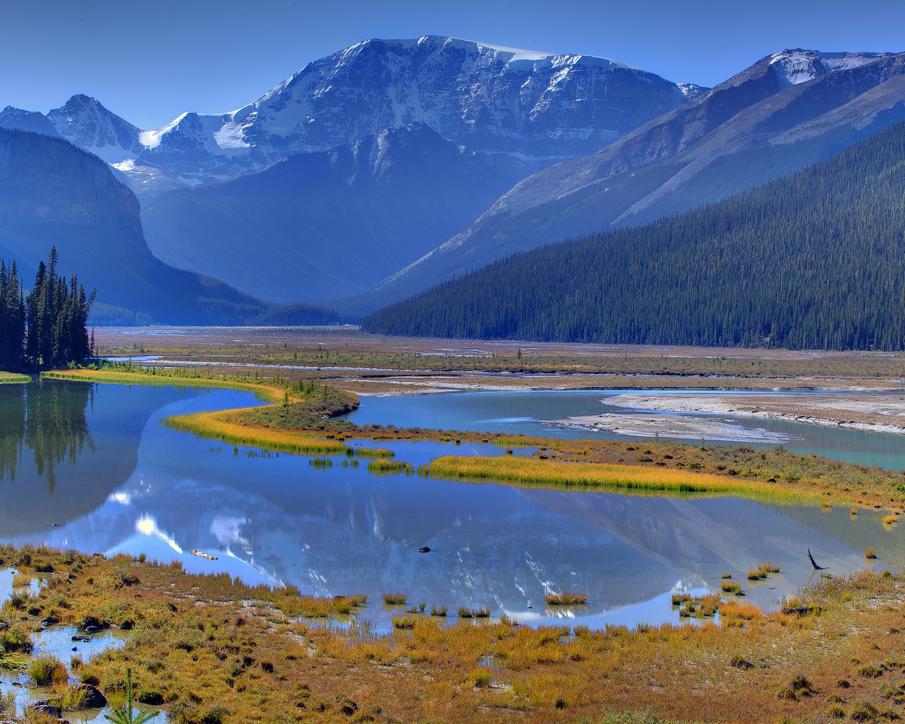 reflection patterns of nature - icefields parkway, banff national park, alberta, canada