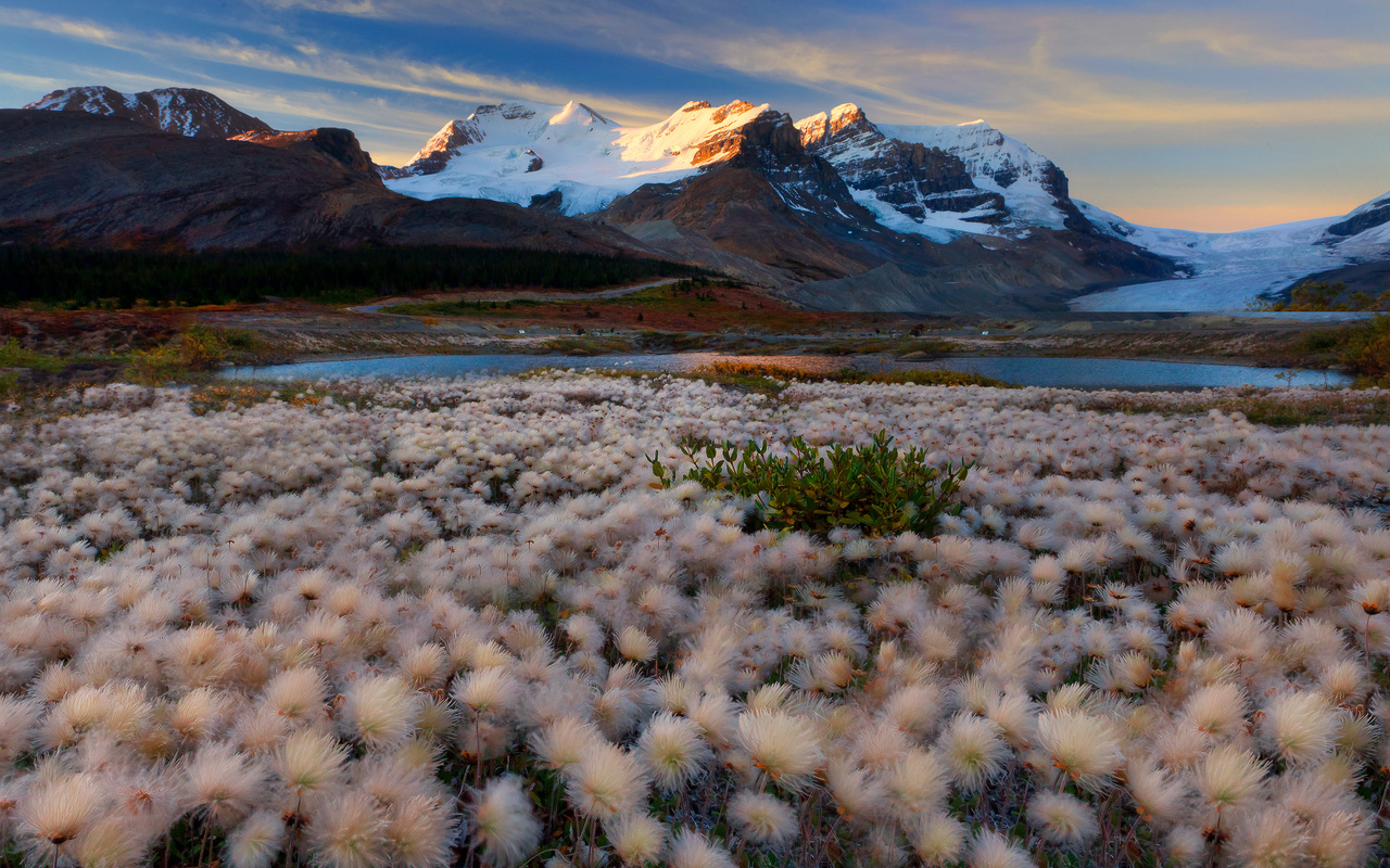 fairy dust dreams - columbia icefields, icefields parkway, alberta,    -  icefields, icefields parkway, 