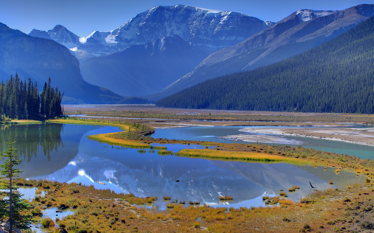 reflection patterns of nature - icefields parkway, banff national park, alberta, canada