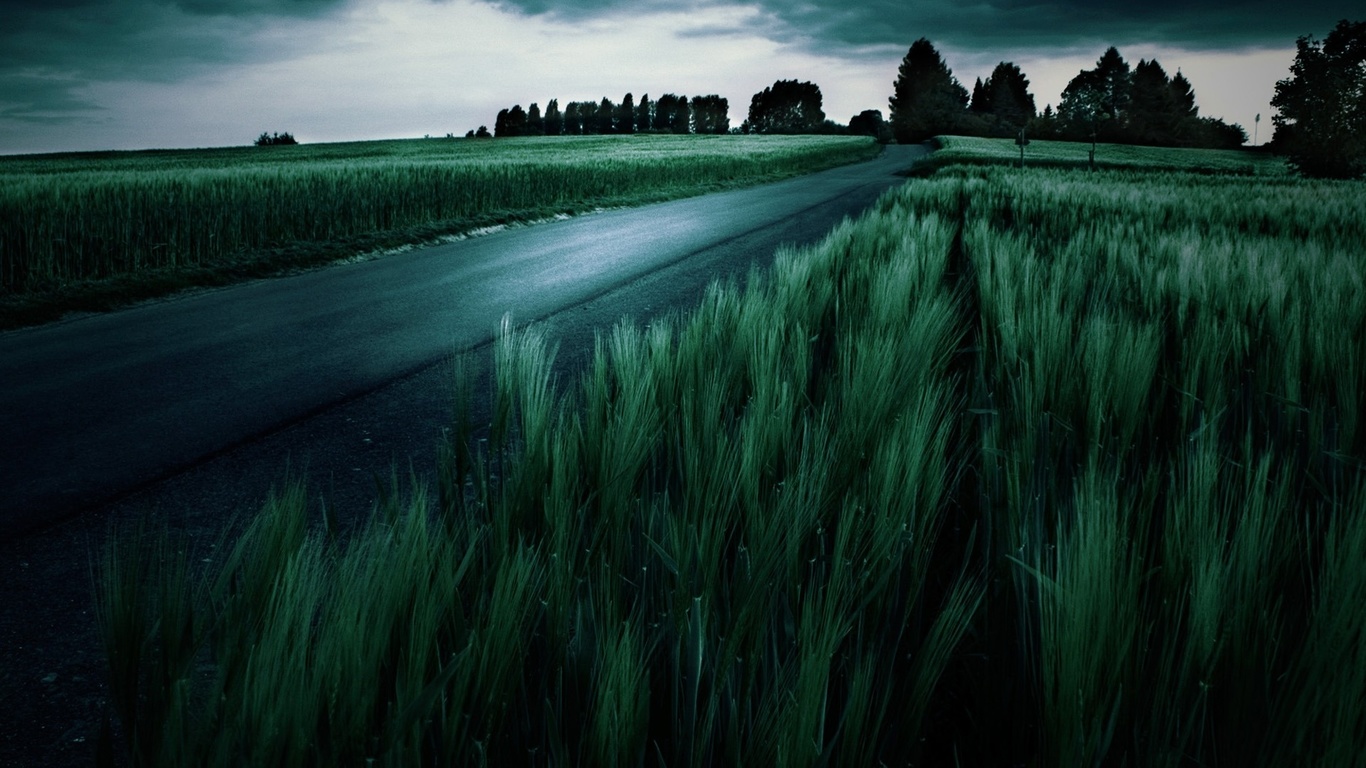 dark, fields, tree.clouds