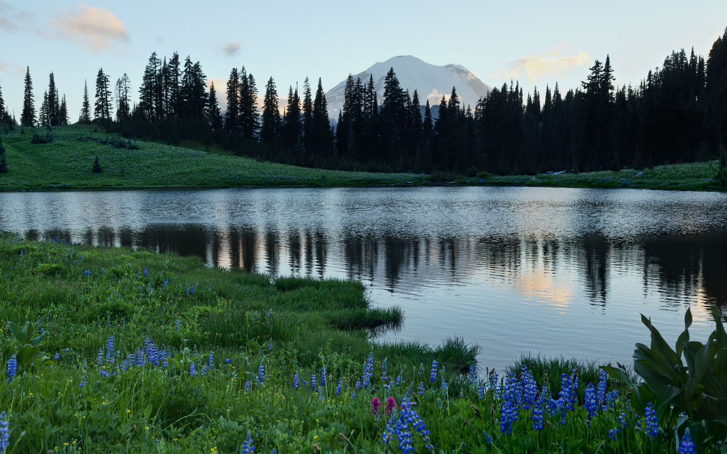 tipsoo lake, mount rainier, mount rainier national park, washington, lake tiphsah, mount rainier